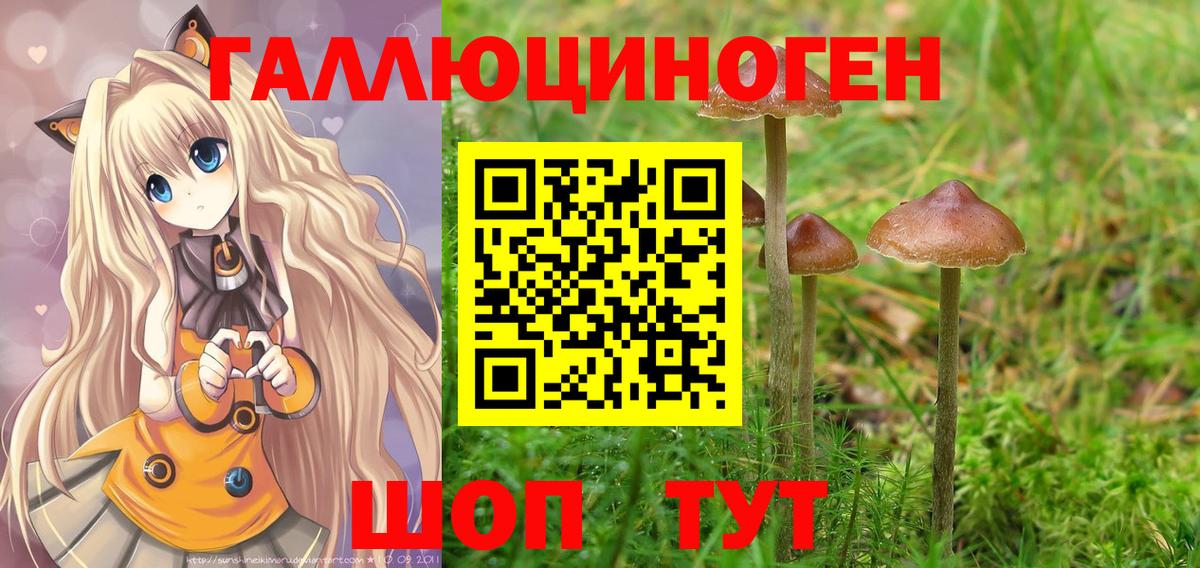 Псилоцибиновые грибы мухоморы  Вход с VPN  Киров 